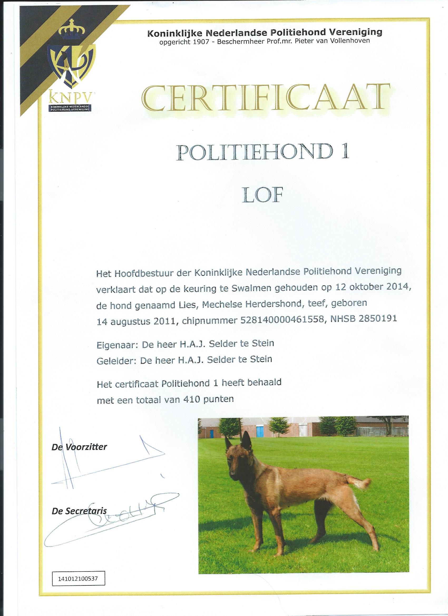 belgian sheepdog for sale in michigan our dogs belgian malinois breeder u0026 trainer ruidoso malinois belgian sheepdog for sale in michigan our dogs belgian malinois breeder u0026 trainer ruidoso malinois