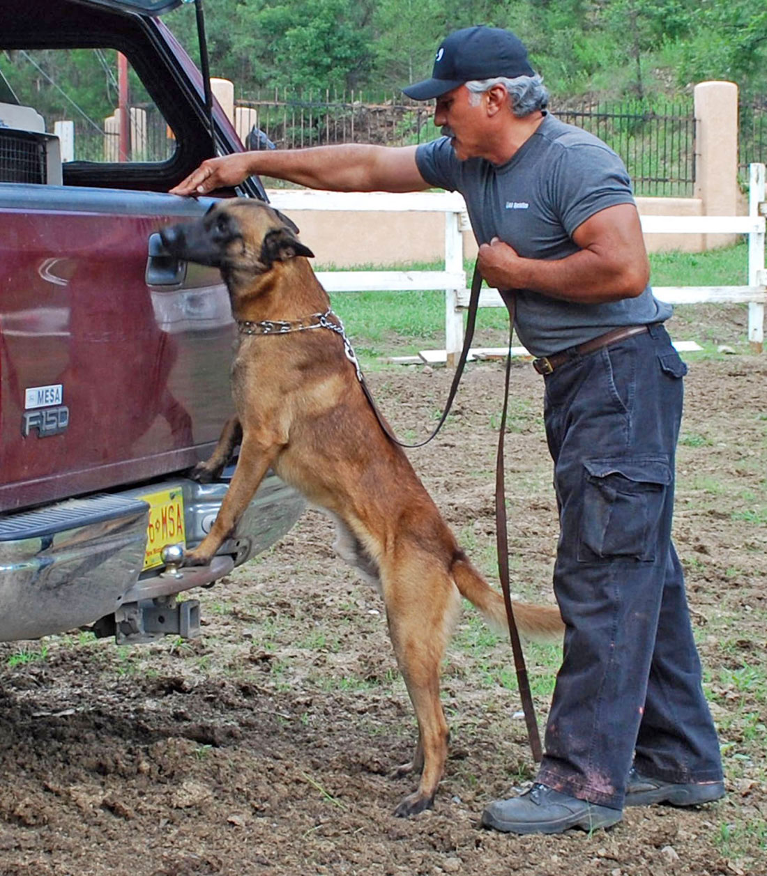 Belian Malinois Narcotics Detection Trainers