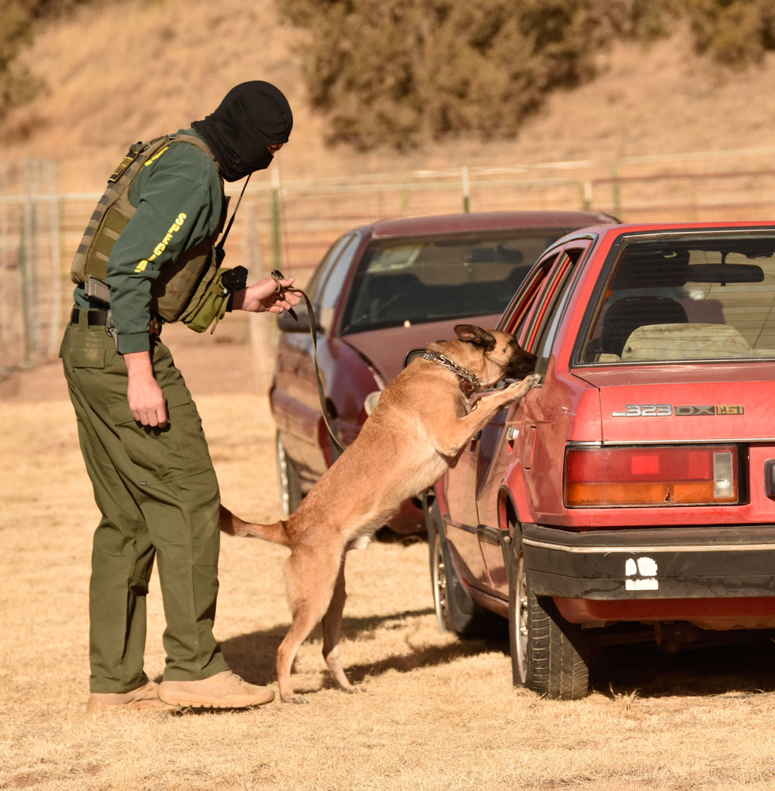 Narcotics Detection Dog Training