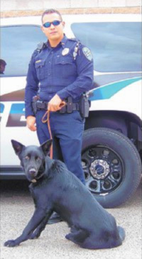 Los Lunas Police Belgian Malinois K-9