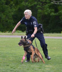 Charlottesville Police Malinois K9