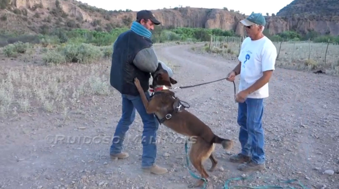 Video - Protection Under Gunfire