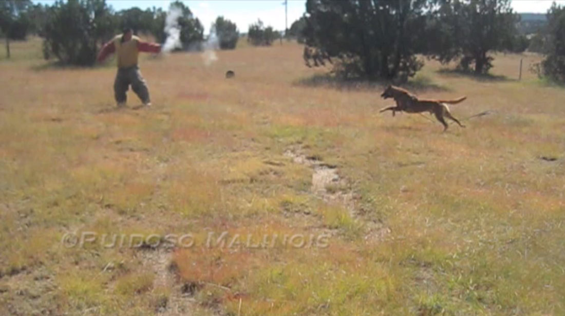 Video - Protection Under Gunfire