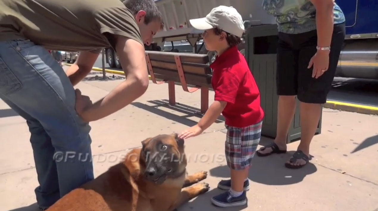 Video - Belgian Malinois With Children