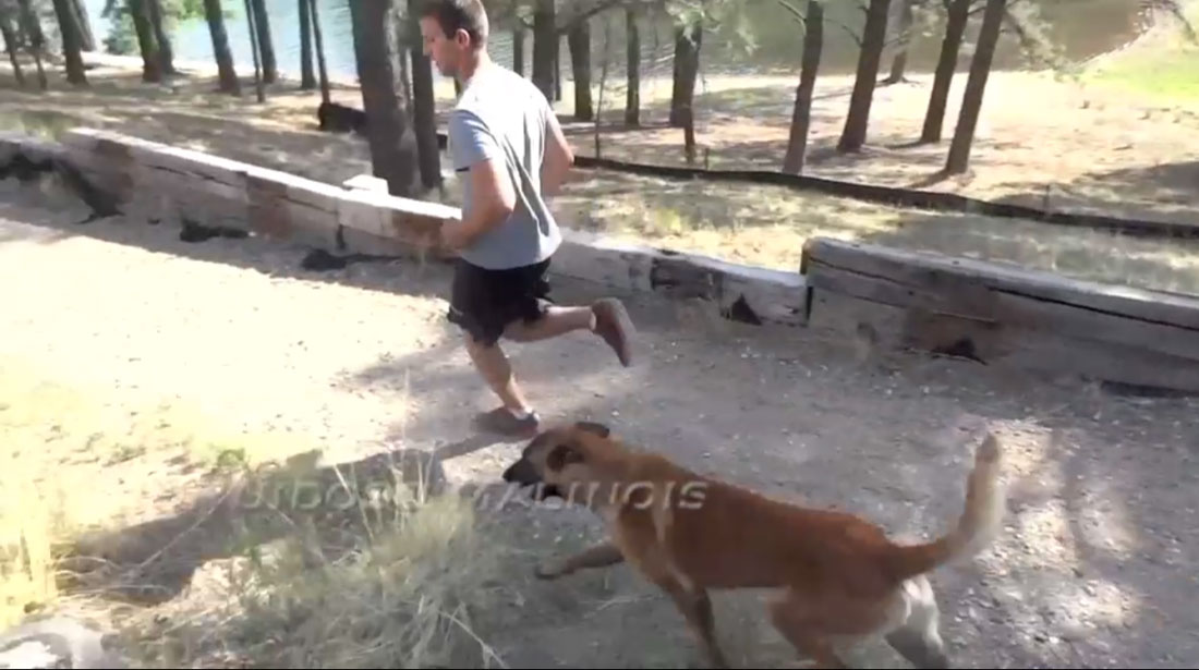 Video - Heeling Demonstration